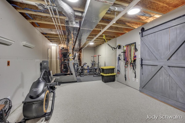 workout room with carpet floors