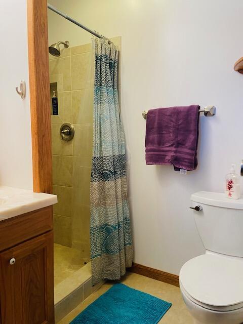 bathroom featuring vanity, toilet, and curtained shower