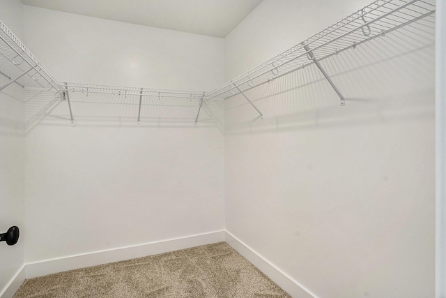 spacious closet with carpet floors