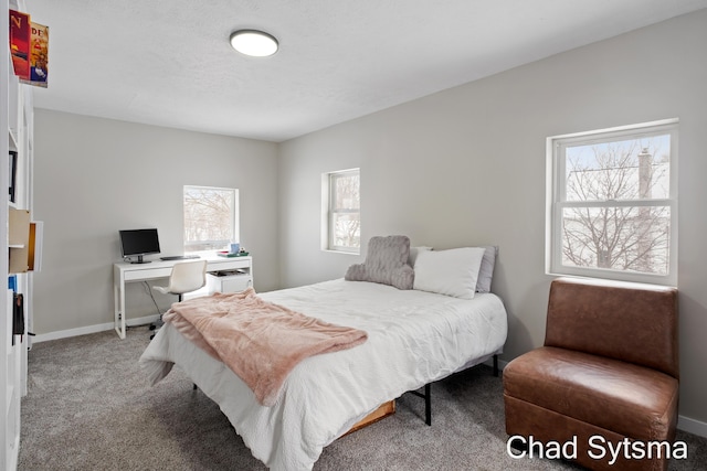 bedroom with carpet flooring