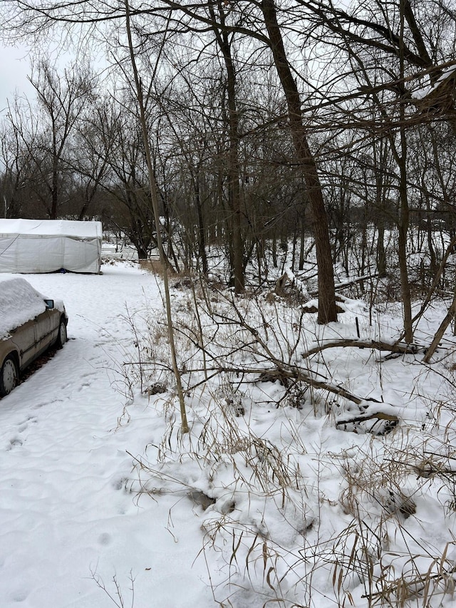 view of yard covered in snow