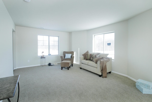 sitting room featuring carpet flooring