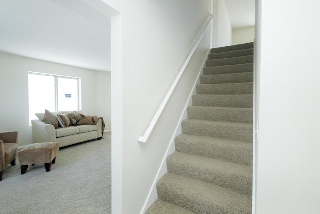 staircase featuring carpet