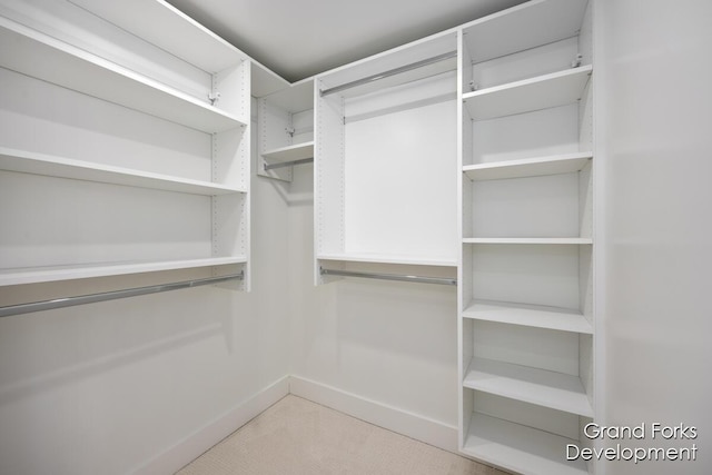 spacious closet with light carpet