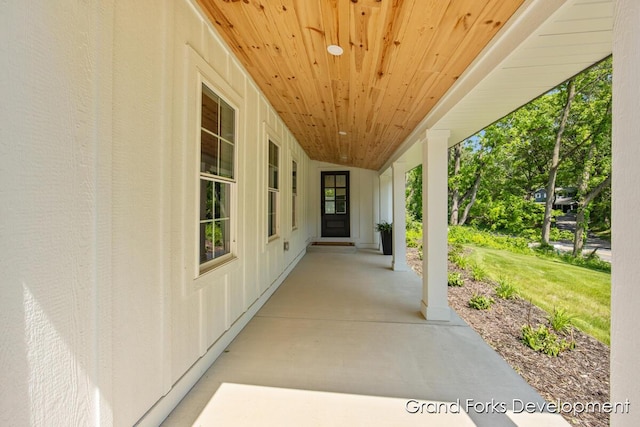 101 Carl Dr NE, Ada, MI 49301 - photo 5