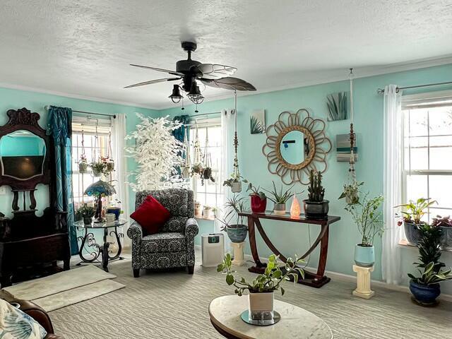 living area featuring carpet, a textured ceiling, ceiling fan, and ornamental molding