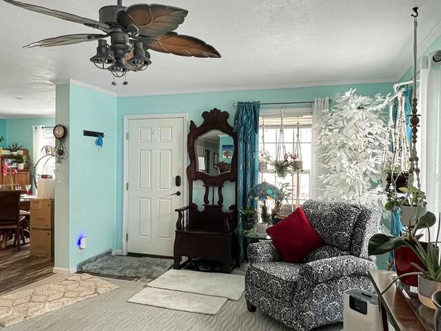 living area with ceiling fan