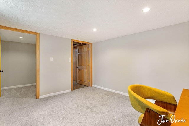 interior space featuring carpet and a textured ceiling