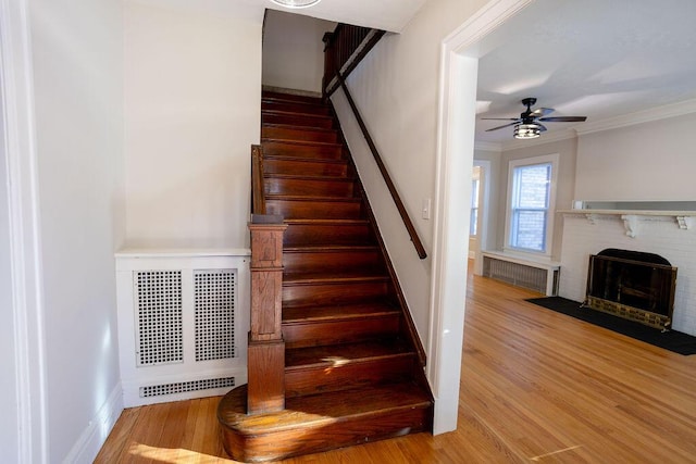 stairway featuring radiator, crown molding, ceiling fan, a fireplace, and wood-type flooring