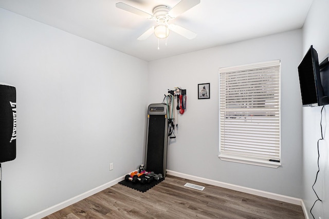 exercise area featuring ceiling fan and dark hardwood / wood-style floors