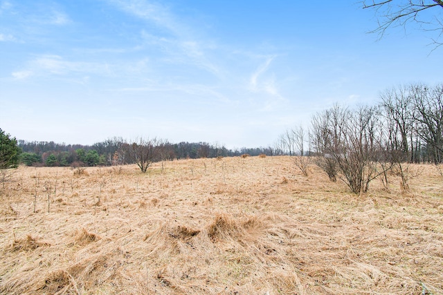 V/L Lucas Rd, Bellevue MI, 49021 land for sale