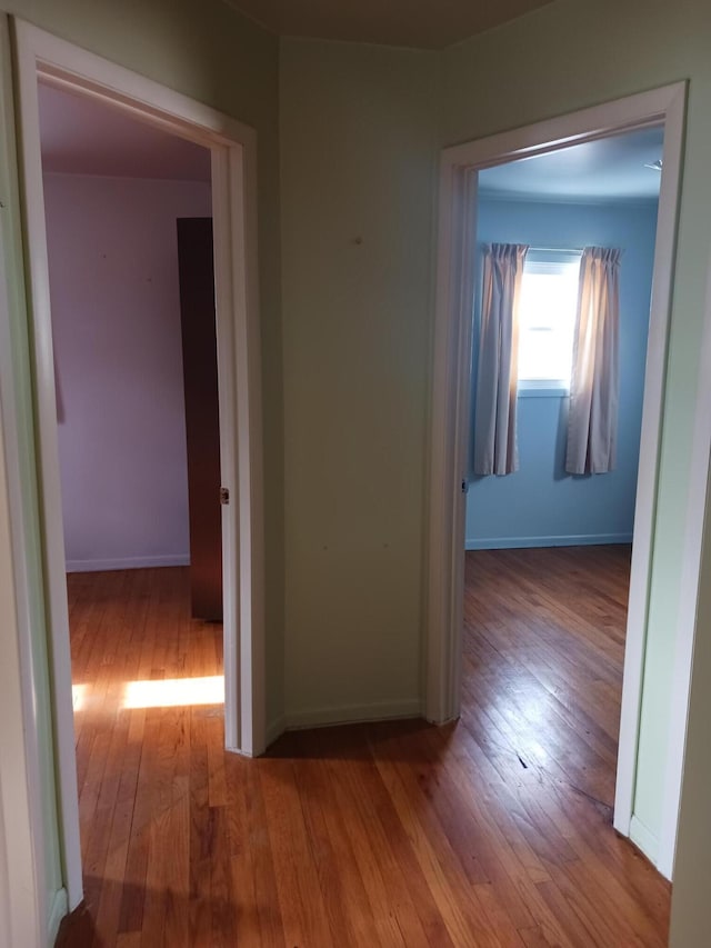 hall featuring hardwood / wood-style flooring and baseboards