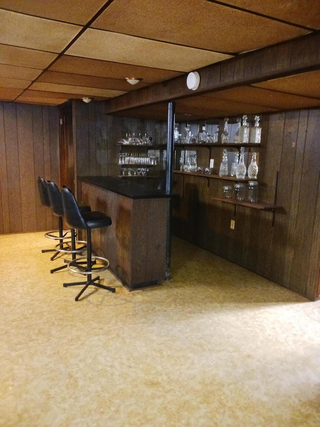 bar with a dry bar and wood walls