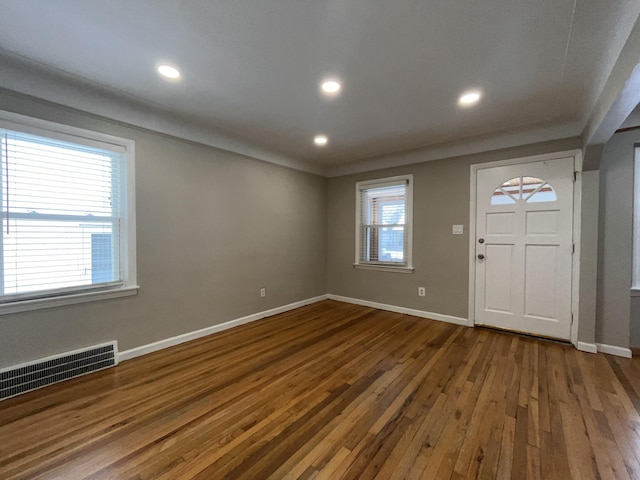 foyer with wood-type flooring and a wealth of natural light