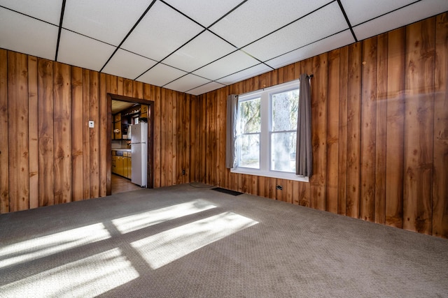 spare room with carpet floors and wood walls