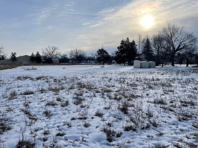 view of yard covered in snow