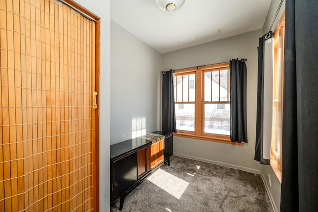 interior space with dark colored carpet