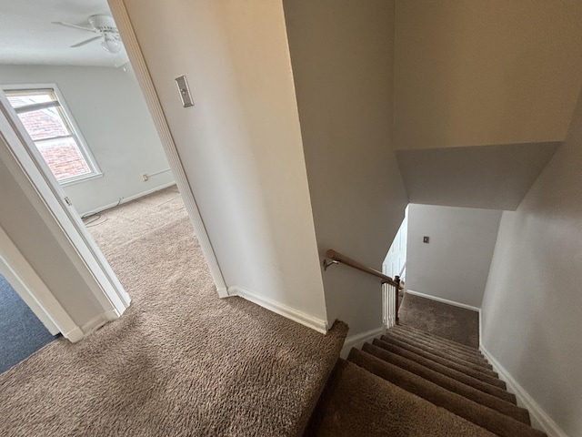 staircase featuring ceiling fan and carpet