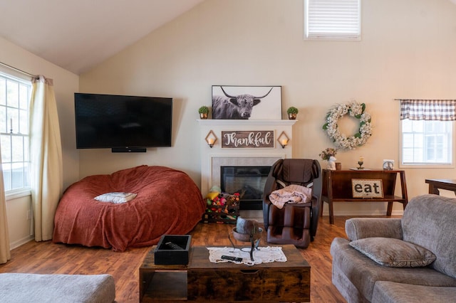 living room with wood-type flooring and vaulted ceiling