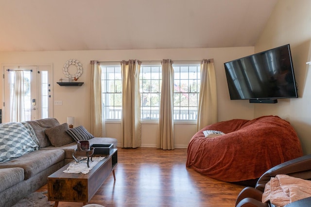 living room featuring lofted ceiling and wood-type flooring