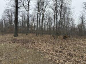 00 4 Mile Rd, Lake, MI 49679