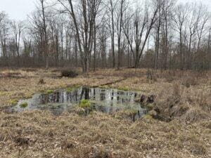 00 4 Mile Rd, Lake, MI 49679