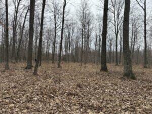 00 4 Mile Rd, Lake, MI 49679