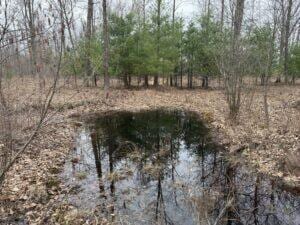 00 4 Mile Rd, Lake, MI 49679