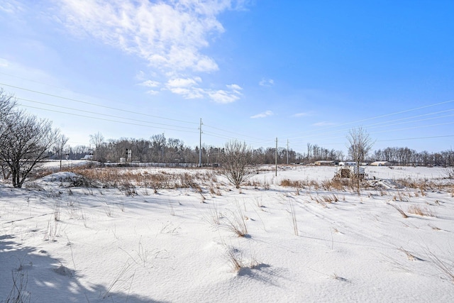 view of snowy yard