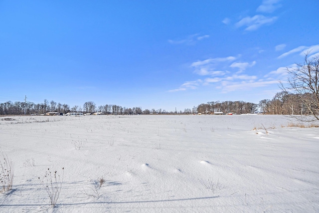 view of yard covered in snow