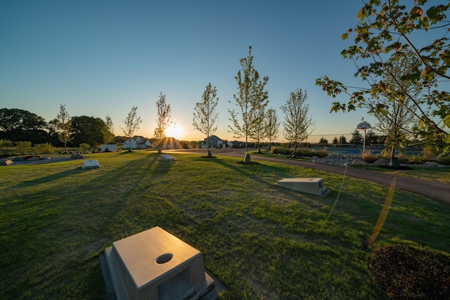 view of yard at dusk