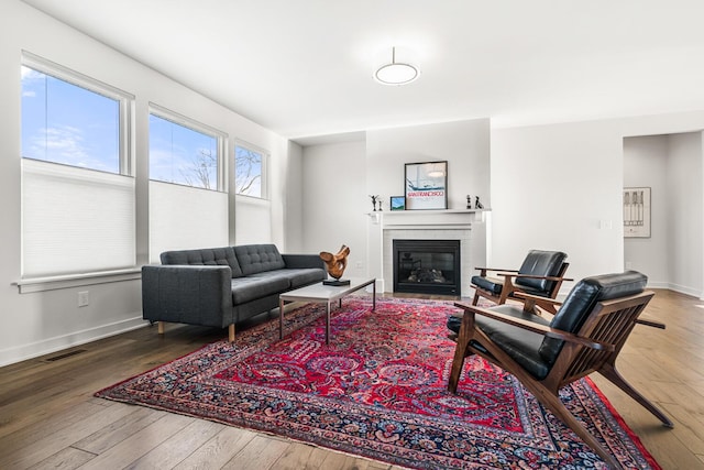 living room featuring hardwood / wood-style flooring