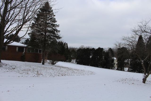 view of yard covered in snow