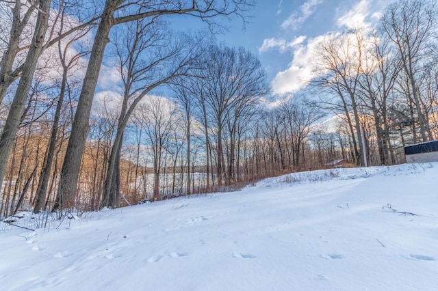 view of yard layered in snow