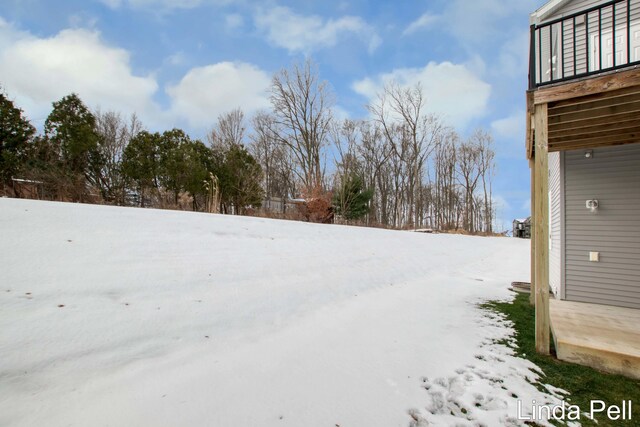 view of yard covered in snow