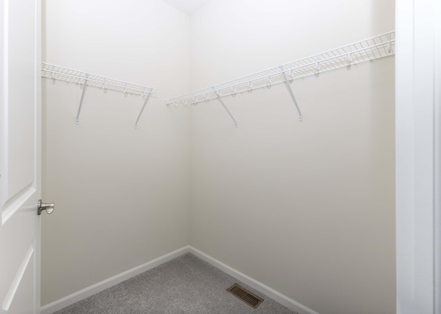 walk in closet with carpet floors