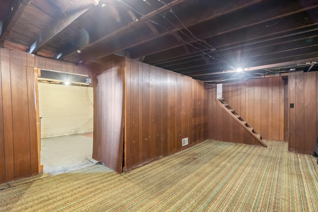 basement with wooden walls