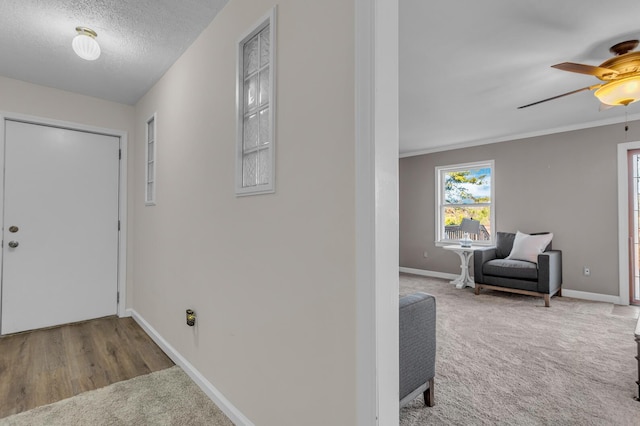 carpeted foyer entrance with ceiling fan and a textured ceiling