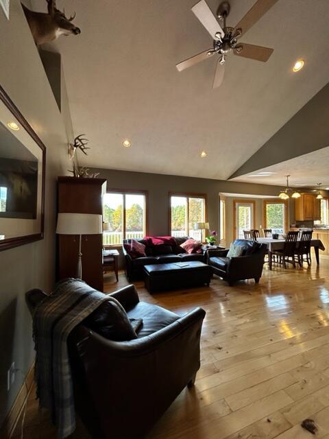 living room featuring high vaulted ceiling, ceiling fan, and light wood-type flooring