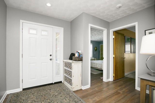 entrance foyer with dark wood-type flooring