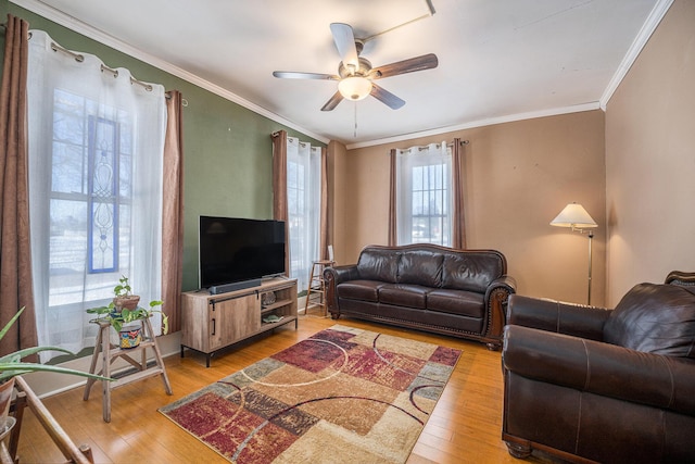 living room with crown molding, ceiling fan, and hardwood / wood-style floors