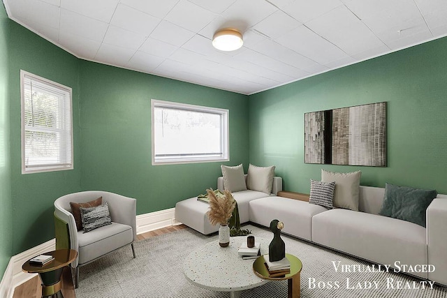 living room featuring hardwood / wood-style floors