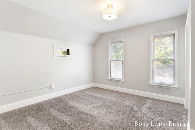 additional living space with lofted ceiling, plenty of natural light, and carpet