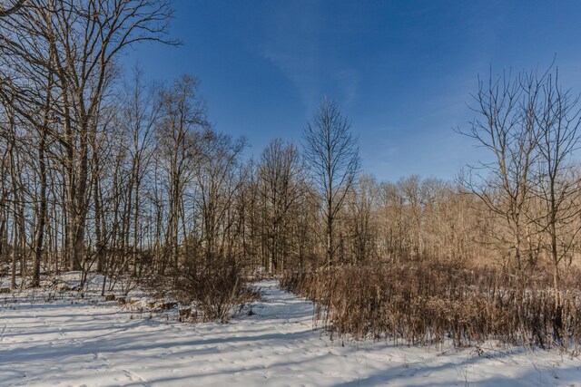 view of snow covered land