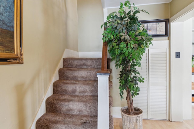 staircase featuring hardwood / wood-style flooring