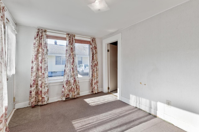 spare room with carpet floors