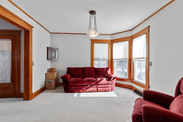 living room featuring crown molding and carpet