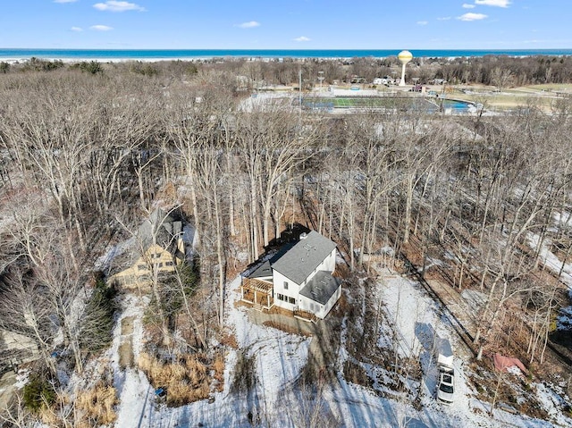 aerial view with a water view