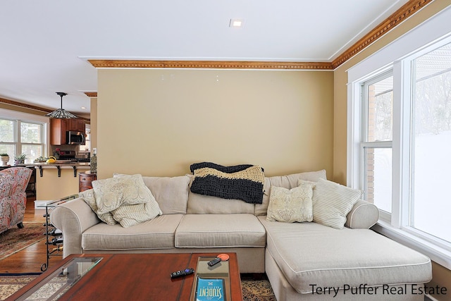 living room featuring wood-type flooring and crown molding