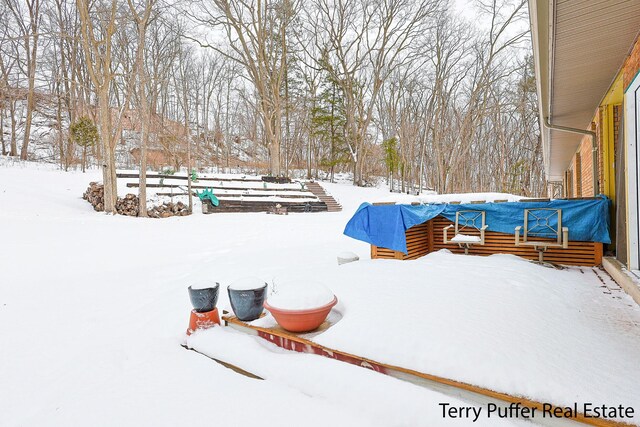 view of yard covered in snow